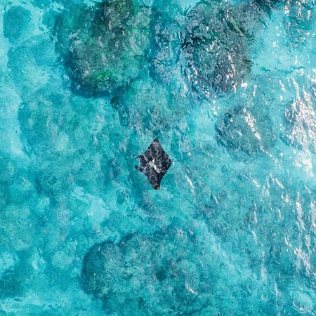Tropical Glamping Nusa Penida - Private Romantic Seaside Bungalow Diamond Beach Polilit Eksteriør bilde